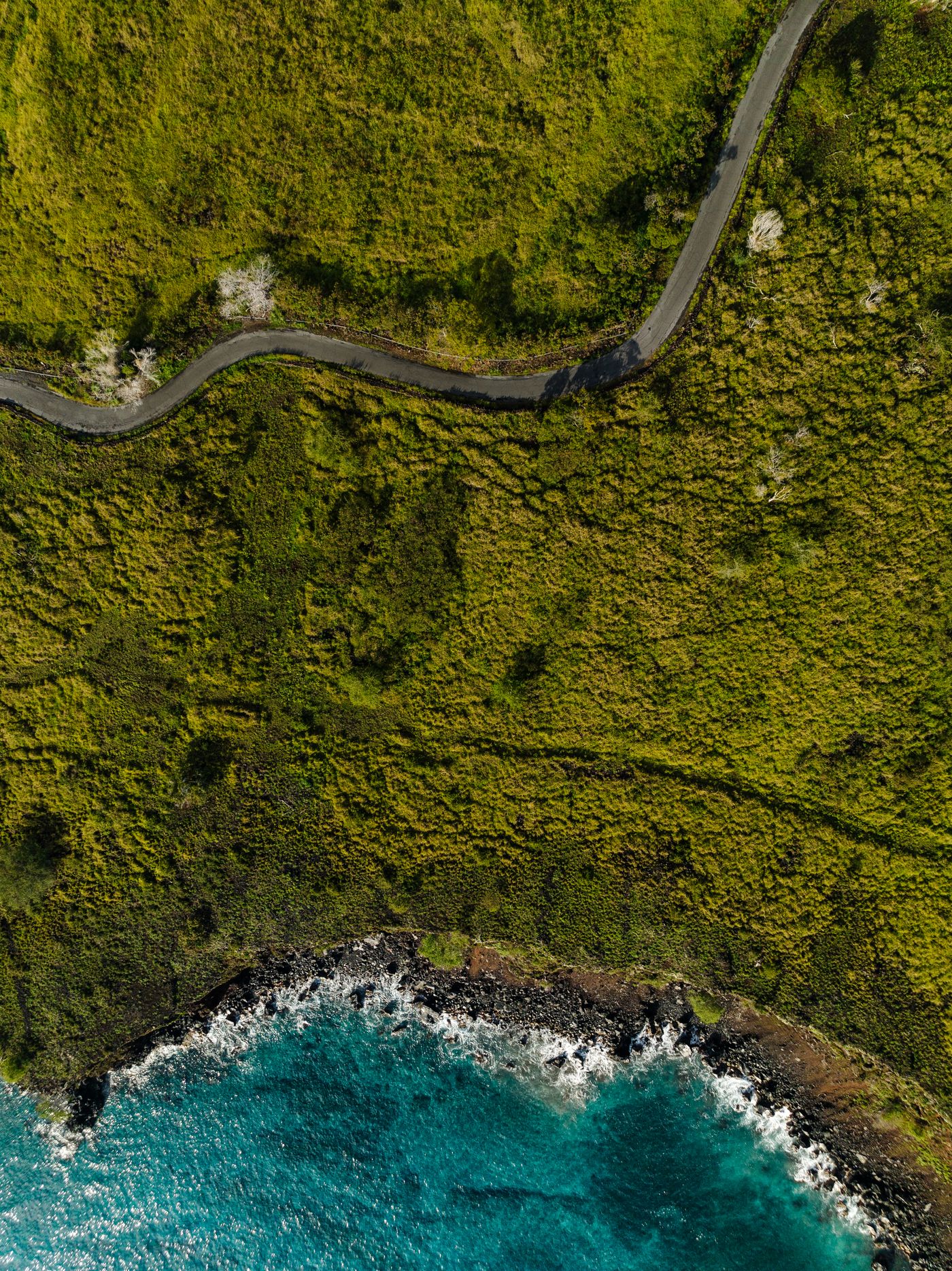 Sunlit volcanic shoreline and turquoise water on Hawaiʻi Island
